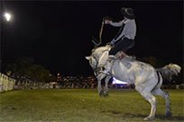 fiesta del caballo