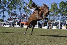 fiesta del caballo urdinarrain