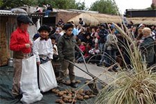 fiesta provincial de la papa