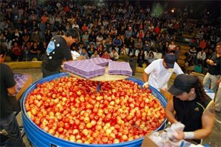 Fiesta Nacional de la Manzana 2026 en General Roca, Rio Negro - Valle de Rio Negro