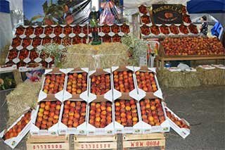 Fiesta Nacional del Durazno 2026 en el Complejo Cultural La Trocha, Mercedes, Buenos Aires