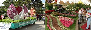 Exposicion floral y pabellones en la Fiesta Nacional de la Flor de Escobar 2026