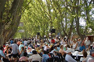 Sagra Nacional de la Uva 2026 en Colonia Caroya, Cordoba - 45 edicion del Centro Friulano